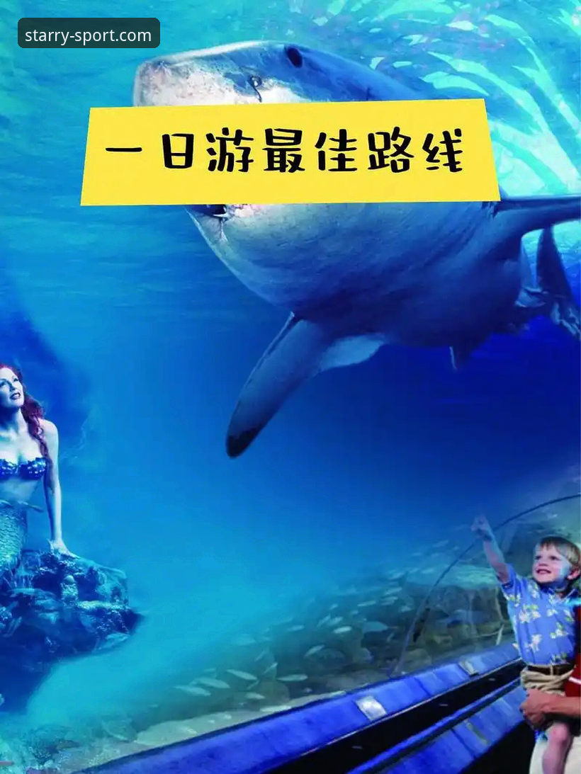 星空体育官方入口教程：从下载到畅玩的完整使用指南